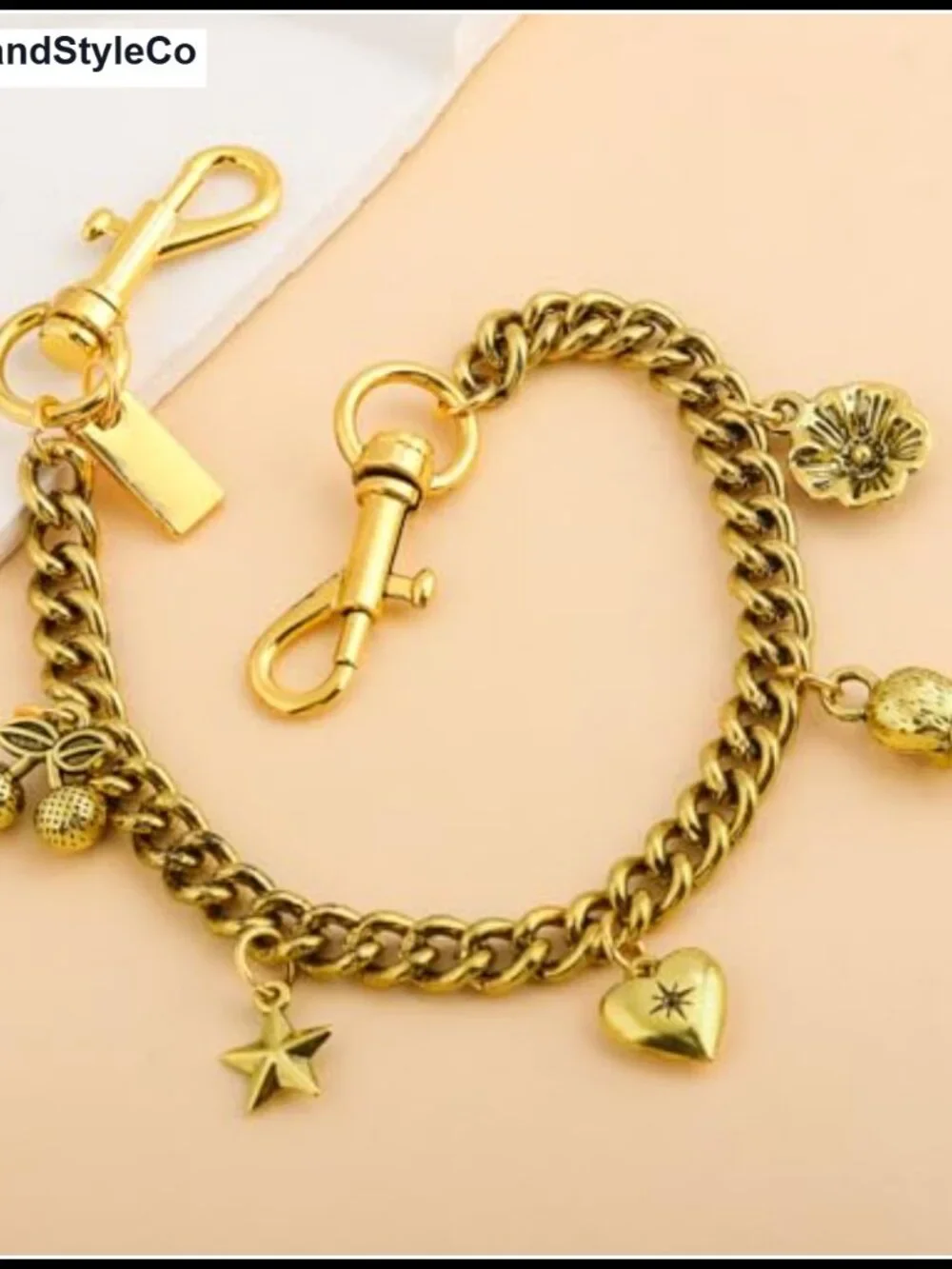 Vintage Charm Chain Handbag Strap Extender